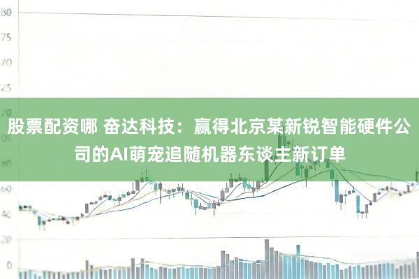 股票配资哪 奋达科技：赢得北京某新锐智能硬件公司的AI萌宠追随机器东谈主新订单