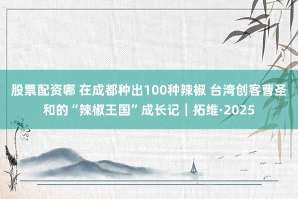 股票配资哪 在成都种出100种辣椒 台湾创客曹圣和的“辣椒王国”成长记|拓维·2025