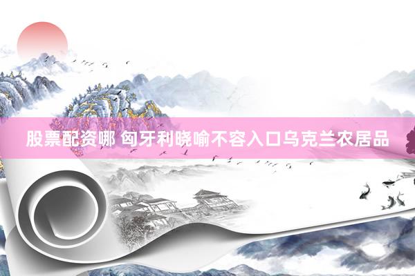股票配资哪 匈牙利晓喻不容入口乌克兰农居品